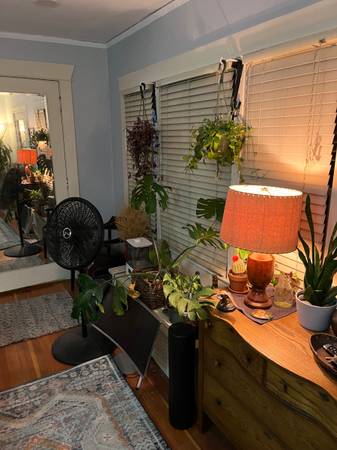 $940 / 1br - 590ft2 - Downtown Moscow 1bed/1ba (Moscow)63980821798915122