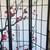 Cherry Blossom room divider 2 thumbnail