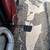 HARLEY DAVIDSON V ROD MUSCLE 8 thumbnail
