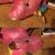 LARGE DAN DEE COLLECTOR'S CHOICE UNICORN PLUSH SPARKLY PINK HEART SHIN 7 thumbnail
