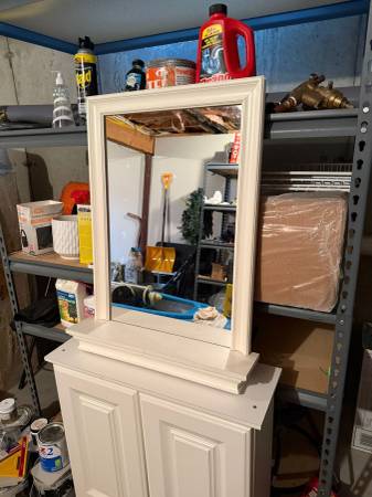 Bathroom/Office wood cabinet 1