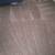 Carpet & Upholstery Cleaning Same Day Services Free Quotes No Gimmicks 10 thumbnail