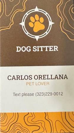PET SITTER 1