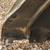 1978 Camaro Z28 Fenders 6 thumbnail