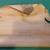 Antique AUTOGRAPH Hand Played I'm Crazy For Love Player Piano 4 thumbnail