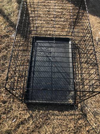 Dog crate 1