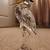 RARE AUSTRIA SWAROVSKI SILVER HERON SILVER CRYSTAL 1 thumbnail