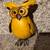 OWL COLLECTIBLES 4 thumbnail