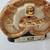 2- Vintage Rajah & Tall Cedar Collectible Whiskey Bottles 2 thumbnail