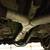 1999 Pontiac Trans Am WS6 Near Mint 20 thumbnail