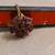 Antique Victorian 10k Gold 18 Stones Ruby Ring sz 8 4g missing 3 Stone 6 thumbnail