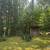 80 Acre Retreat on Lake Anne 15 thumbnail