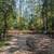 RV or Tiny Home Full hookup site 4 thumbnail