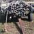 Irrigation System, including Pump, Pipe and Birds 6 thumbnail