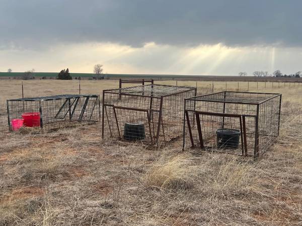Hog Traps (Birmingham)63280380350979120