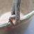 EARLY DOVETAILED COPPER CAULDRON 2 thumbnail
