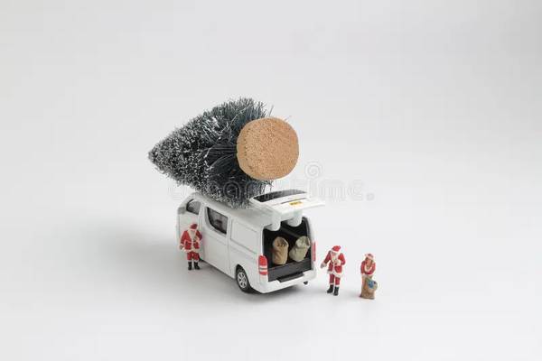 DELIVERY SERVICES -CHRSTMAS TREE DELIVERY! 1