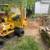 Stump Grinding (w/Full Chip Cleanup, Blowing & Raking) 1 thumbnail