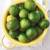 Mexican Lime Key Lime tree for sale Organic 14 thumbnail