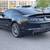 2014 Ford Mustang  Shelby GT500 5.8L SUPER RARE 6SPD MAN FORD SHELBY Coupe 6 thumbnail