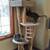 $ Cat Trees & Scratching Posts $ 14 thumbnail