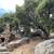 Forested cottage in North Berkeley Hills with pool and tennis access 19 thumbnail