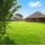 3 bedroom 2 bathroom home in Prairie Grove, AR 21 thumbnail