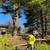 414-639-2747 FALL -Gutter- Tree work -Fencing 1 thumbnail