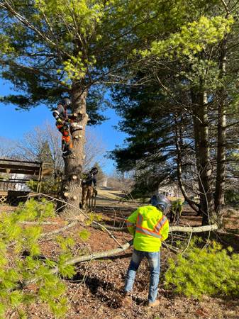 414-639-2747 FALL -Gutter- Tree work -Fencing 1