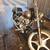 2005 Harley Davidson Softail Fxsti 7 thumbnail