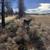 #13 Yellow Pine Road ~ 10.4 Acres ~ Hiking trail on Property!! 1 thumbnail