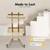 MhdunueSK 2 Tier Metal Rolling Cart Model 1 2 thumbnail