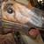 Antique Rocking Horse Chair 4 thumbnail