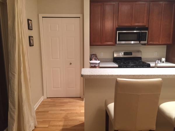 $1,250 / 1br - 1200ft2 - Amueblado-Condominio en Racine Harbor con vista al lago Michigan-Calefacción y agua incluidas (Racine, WI)63846717157633121