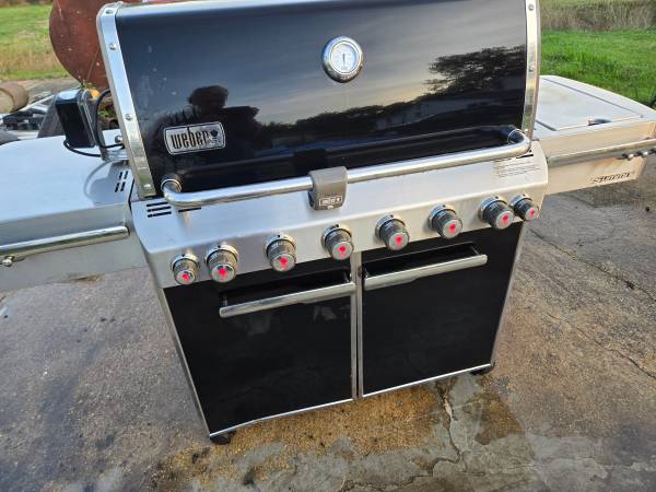 Weber Summit Grill 1