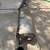 FS: 2023 factory 4Runner TRD Pro exhaust 3 thumbnail