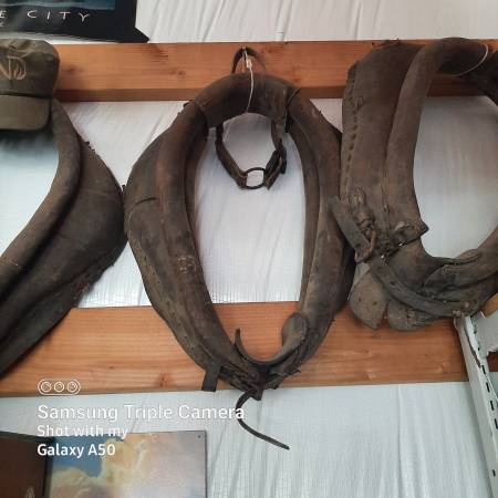 Horse Collars for Wagon 1
