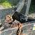 BIG CAR EQUIP TRAILER TANDEM 2 thumbnail