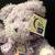 2 RELAY FOR LIFE- AMERICAN CANCER SOCIETY 2003, 2005 BEARS… MINT WITH TAGS 7 thumbnail
