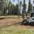 A-1 SERVICES: TREE SERVICE. BRUSH CLEARING, TRACTOR WORK, ROTOTILLING, 3 thumbnail