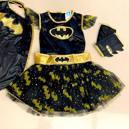 BatGirl Halloween Costume 1