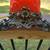 American Victorian Parlor Lamp 12 thumbnail
