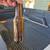 12oz Homebrewing Bottles several cases available 3 thumbnail