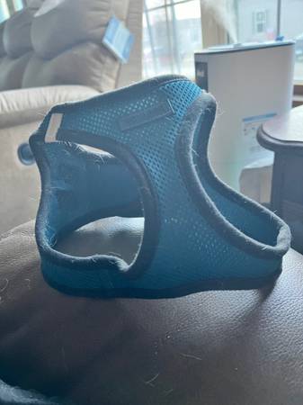 small blue dog harness 1