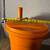 Used Commercial Salad Spinner, Dynamic SD92 13 thumbnail