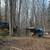 Firewood processing 3 thumbnail