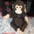 Plush Stuffed Monkeys 9 thumbnail
