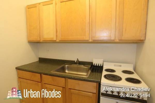 $1,395 / 400ft2 - Appealing Studio, 1 Bath in Lincoln Park, Available: Now (Lincoln Park)63899122717698122