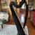 Lyon and Healy Ogden 34-string Harp 3 thumbnail