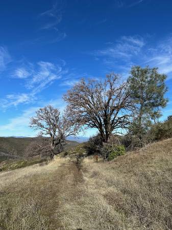 $149,000 40 acres - 2 parcels in Lake County with a spring (lake county)63868151857025123